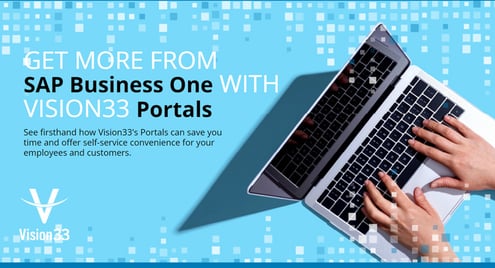 VISION33 SAP Business One Portals