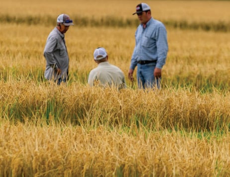 American Plant Food Success Story with iDocuments