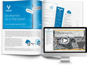 SAP Business One Information Kit