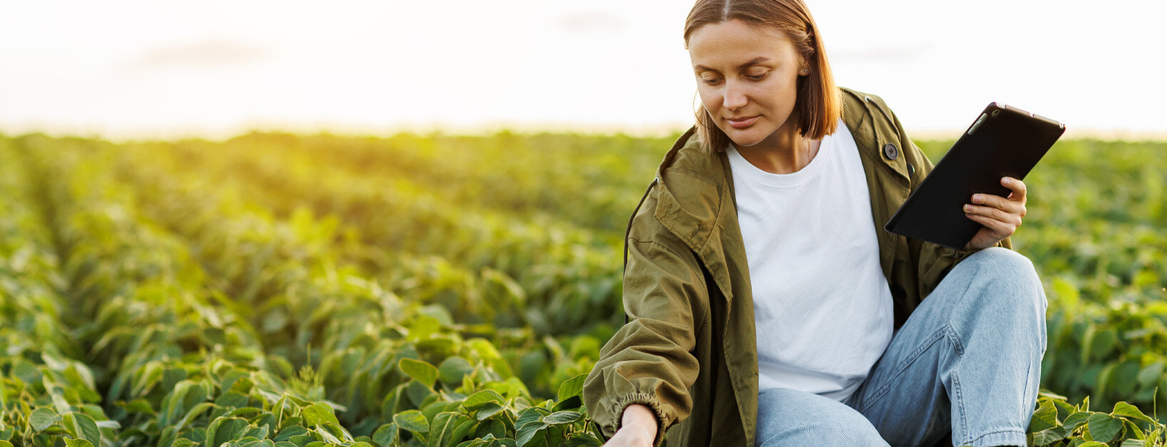 Food & Beverage ERP Solutions