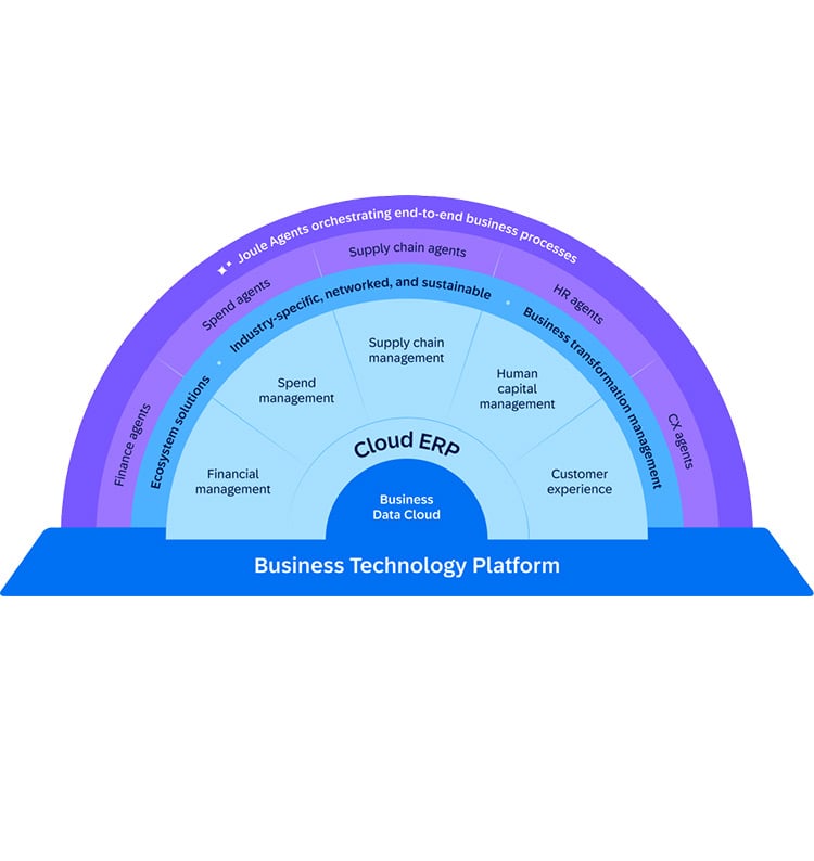 sap-business-suite-graphic-lg