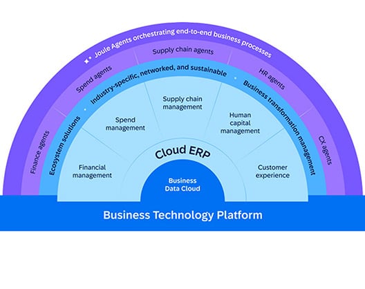 Graphic shows SAP Business Suite is a cloud ERP solution that supports every business function via integration and AI