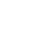 vision33-logo-240x240-WHITE