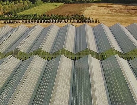 Fall Creek Flexibly Scales Global Operations via Saltbox 