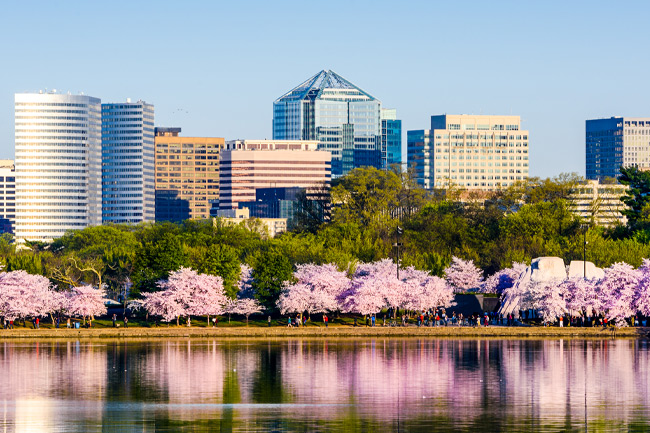 Washington-erp-sap-sage-consultant-partner
